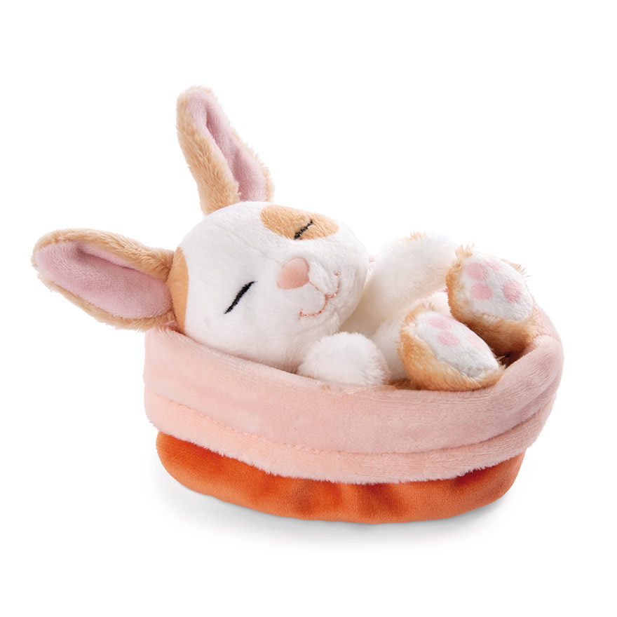 Nici Sleeping Pets